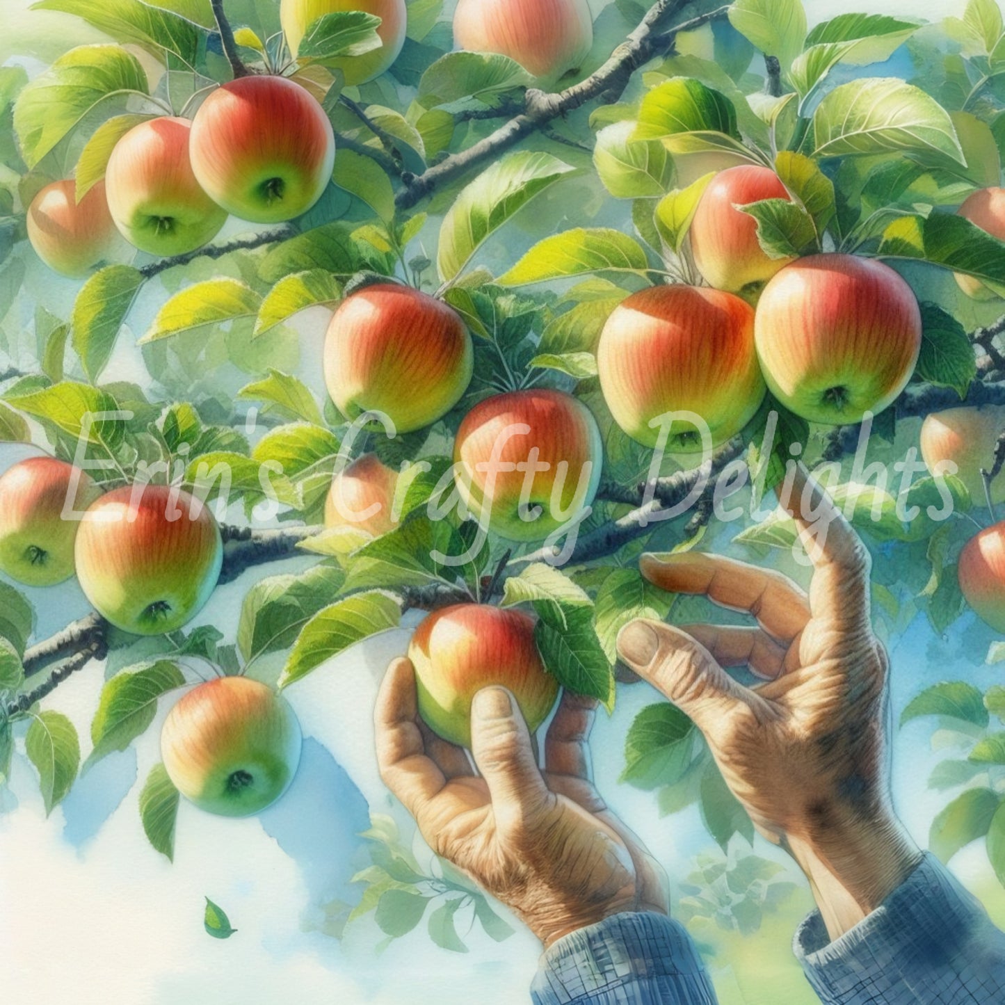 2 Apple Picking