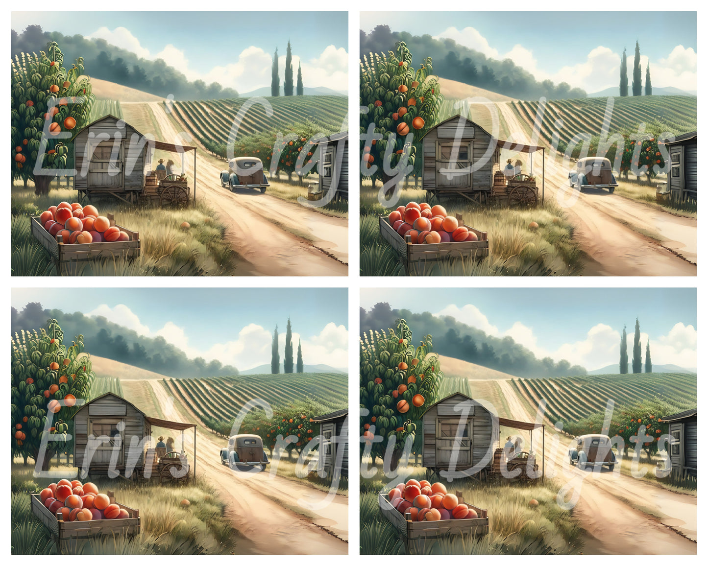 3 Peach Orchard Farmstand