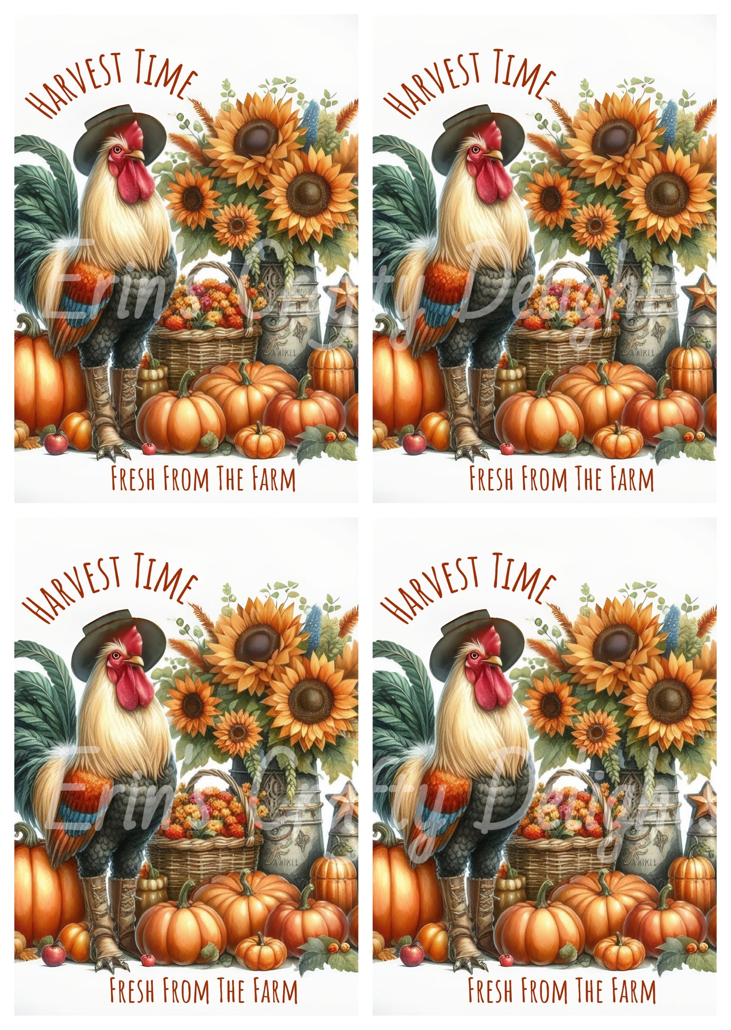 Fall Harvest Time Rooster