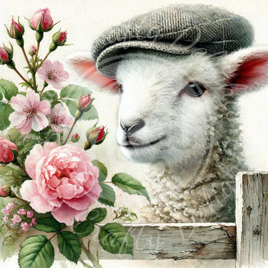 25 Spring Lamb