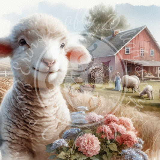 2 Spring Lamb