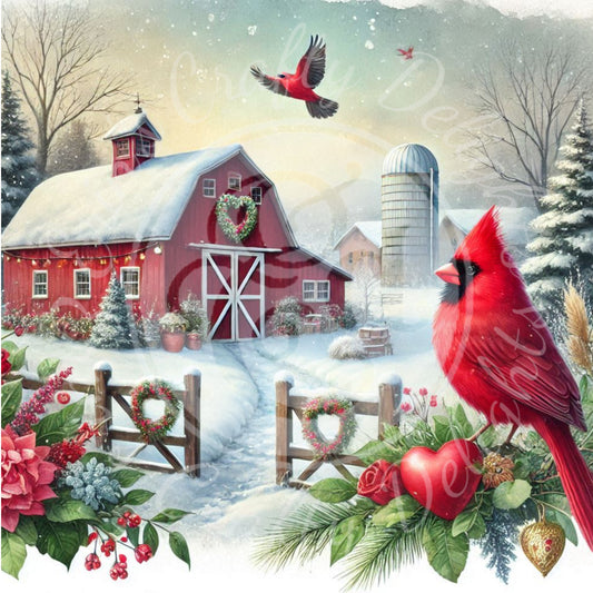 8 Valentine Cardinal and Barn