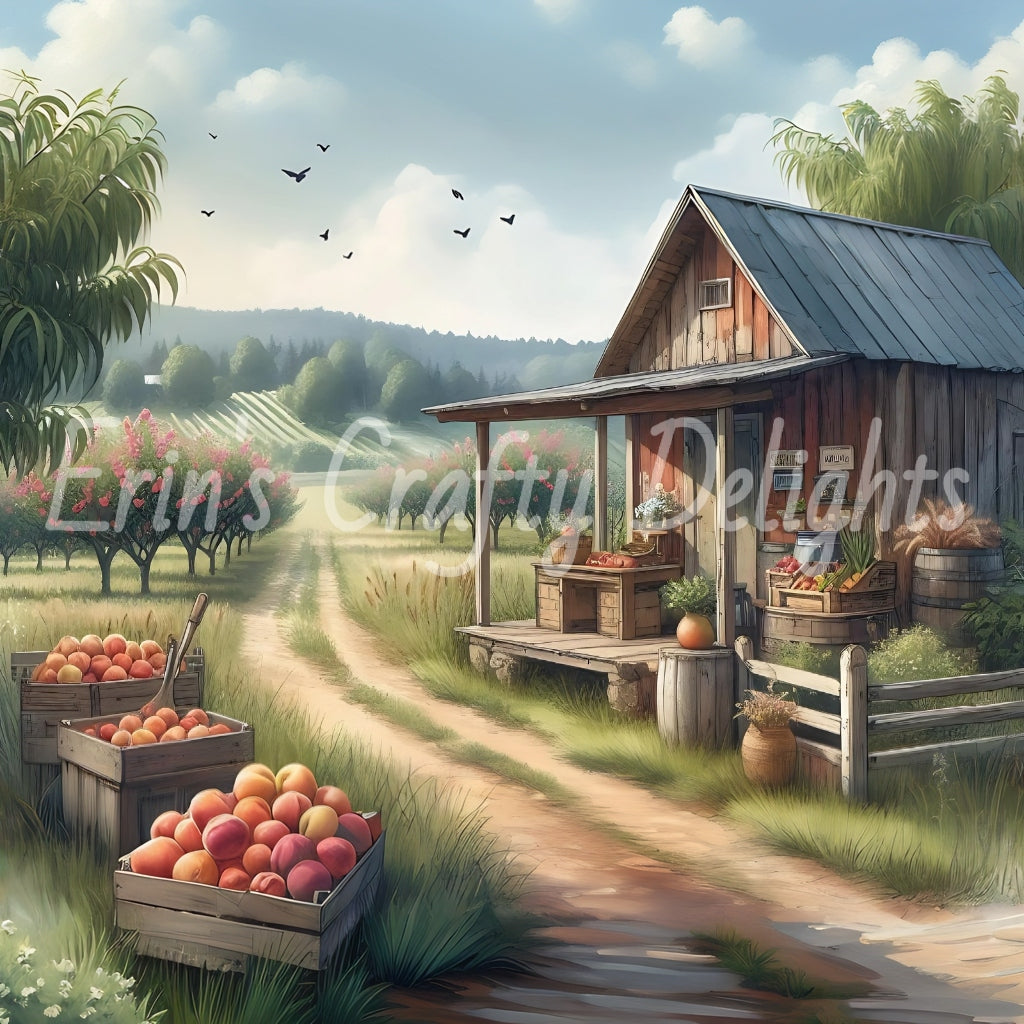 4 Peach Orchard Farmstand