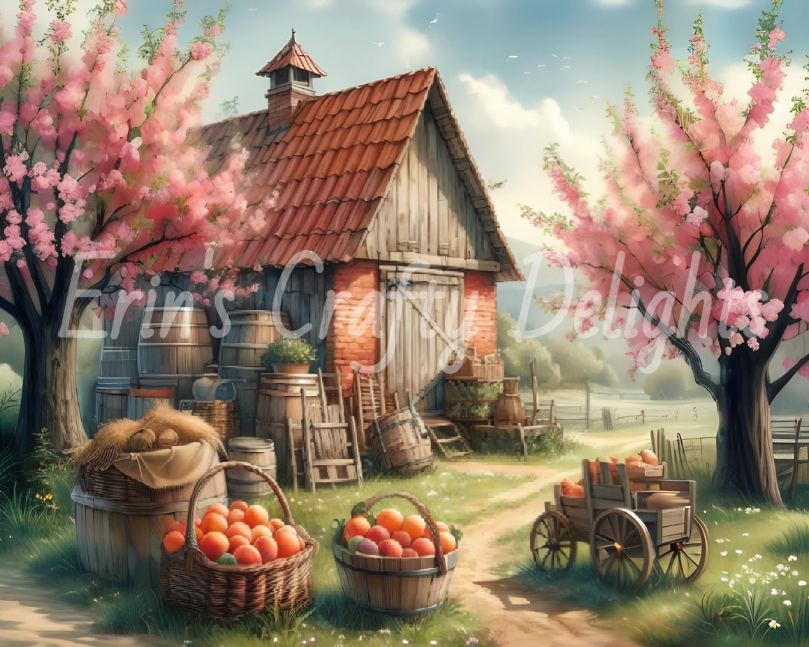 5 Peach Orchard Farmstand