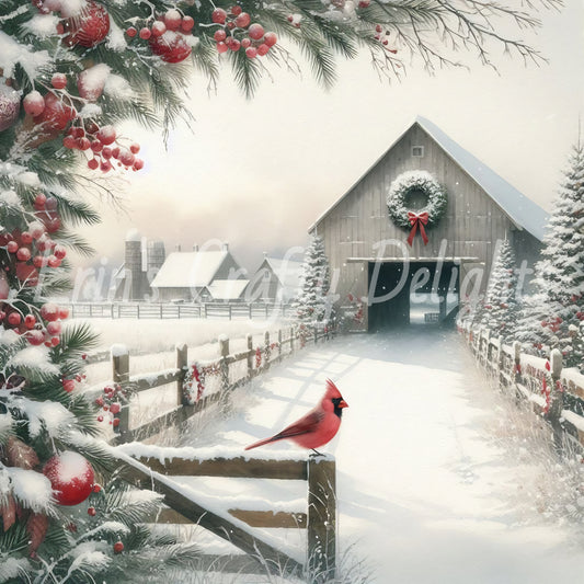 1 White Barn & Cardinal