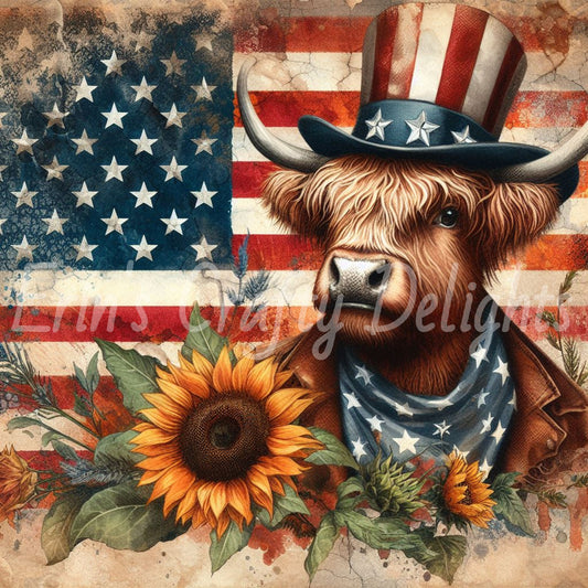 American Highland Cowboy 1