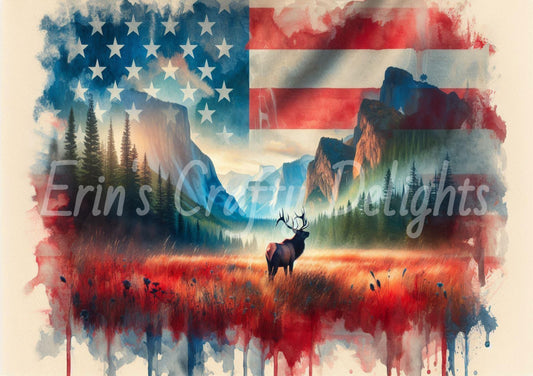 American Flag Elk 10