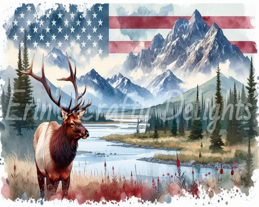 American Flag Elk 7