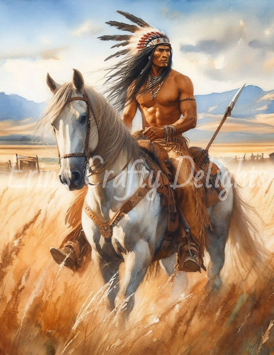Indian Warrior 2