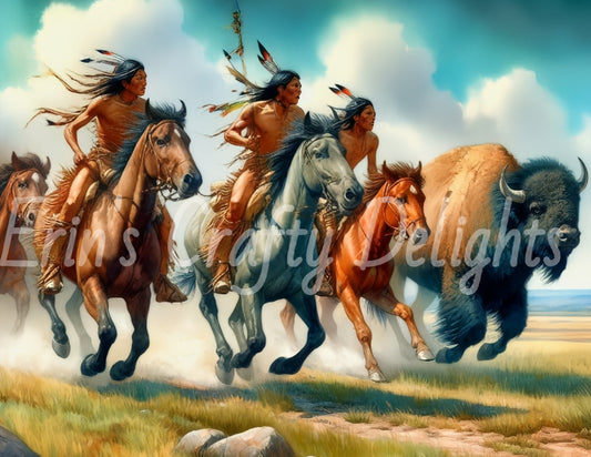 Indian Warriors 6