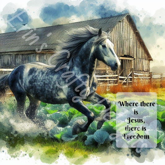 Where there is Jesus there is Freedom